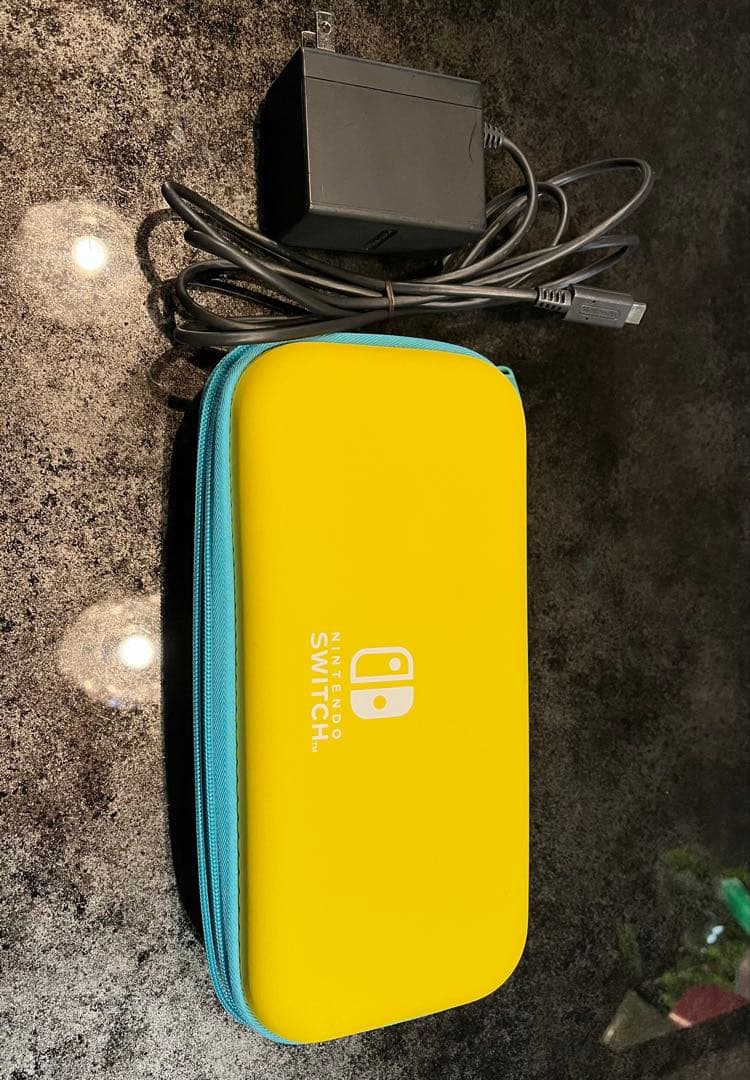 ニンテンドー　Switch lite 本体　ピンク　ケース付き