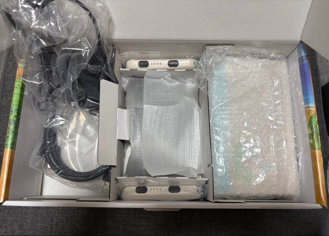 NintendoSwitch あつまれどうぶつの森セット 美品