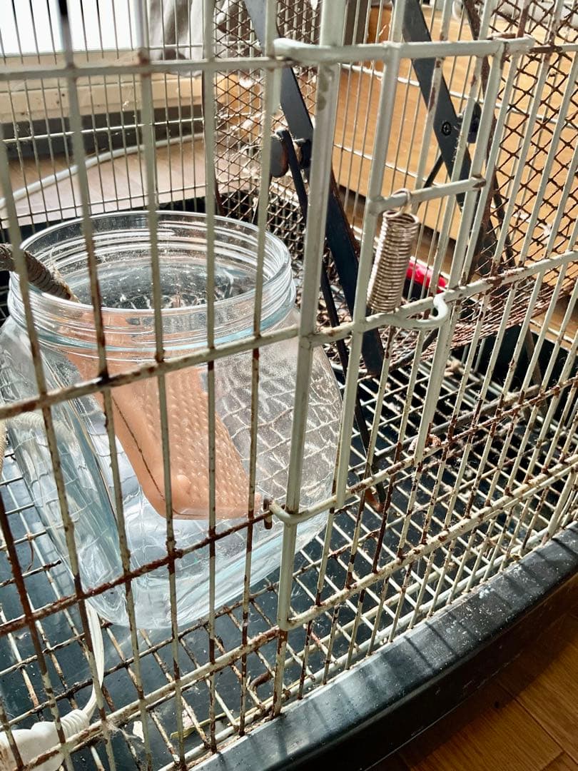 デグー飼育セット イージーホーム40ハイ サイレントホイール ヒーター 砂ビン