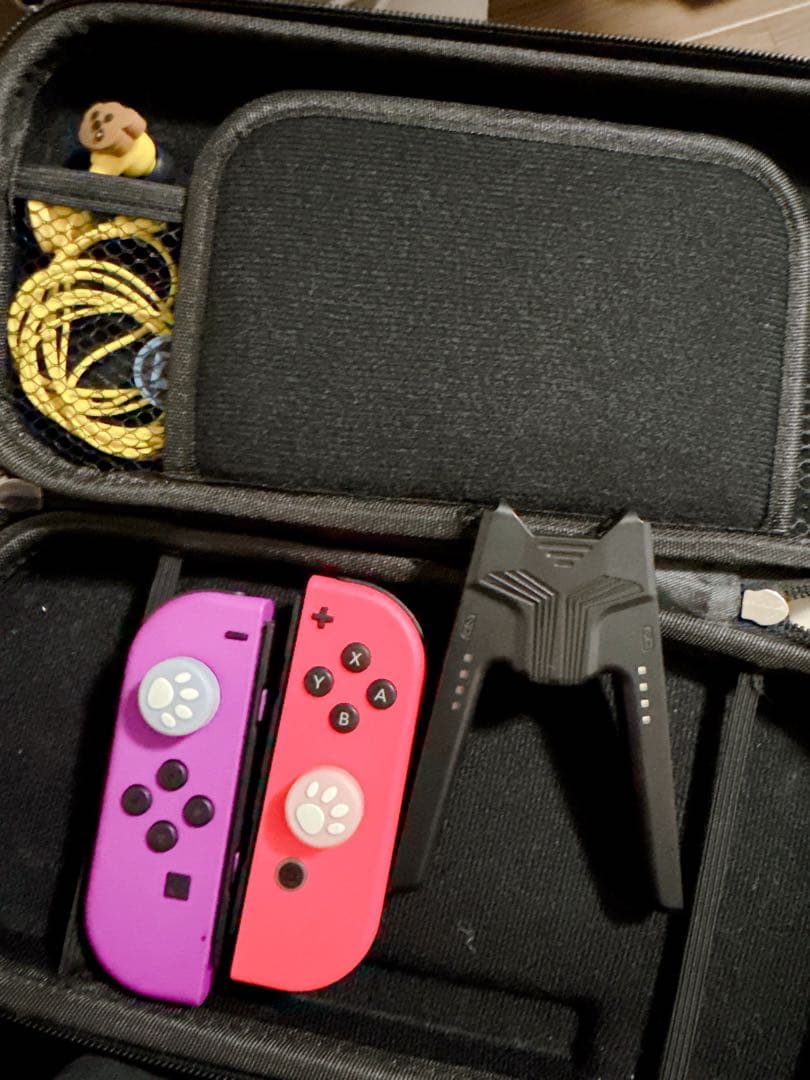 Switch あつまれどうぶつの森セット 本体 ＋α ⭐︎超まとめ売り⭐︎