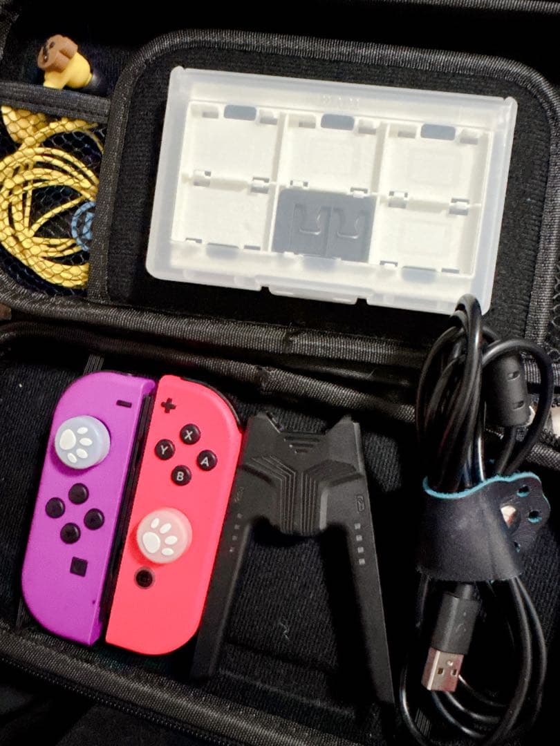 Switch あつまれどうぶつの森セット 本体 ＋α ⭐︎超まとめ売り⭐︎