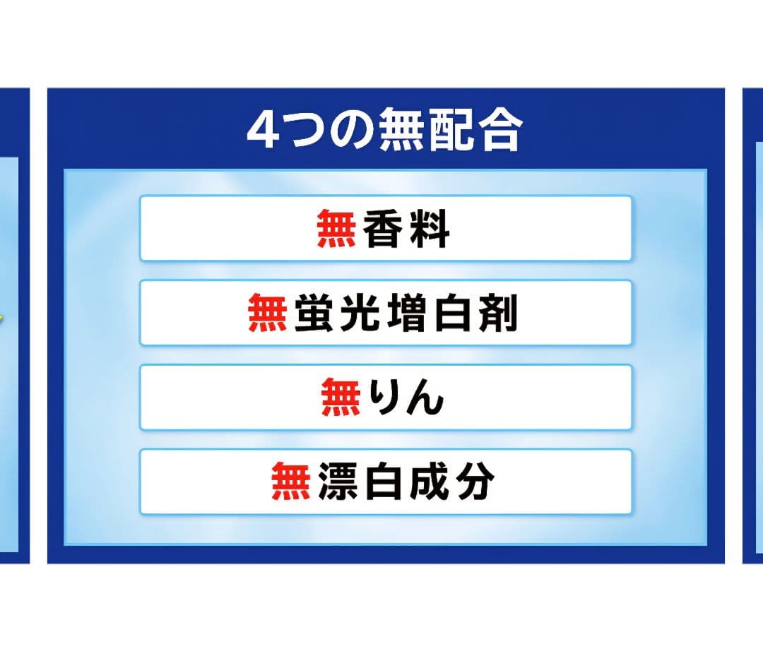 Hybrid JOY of the Earth 洗濯用粉末洗剤 1.3kg