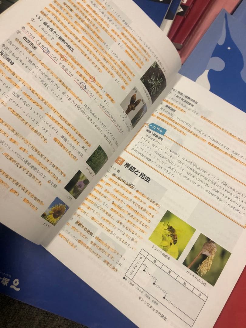 四谷大塚 予習シリーズ5年 国算理社/漢字/計算　上下　中古　2023年版