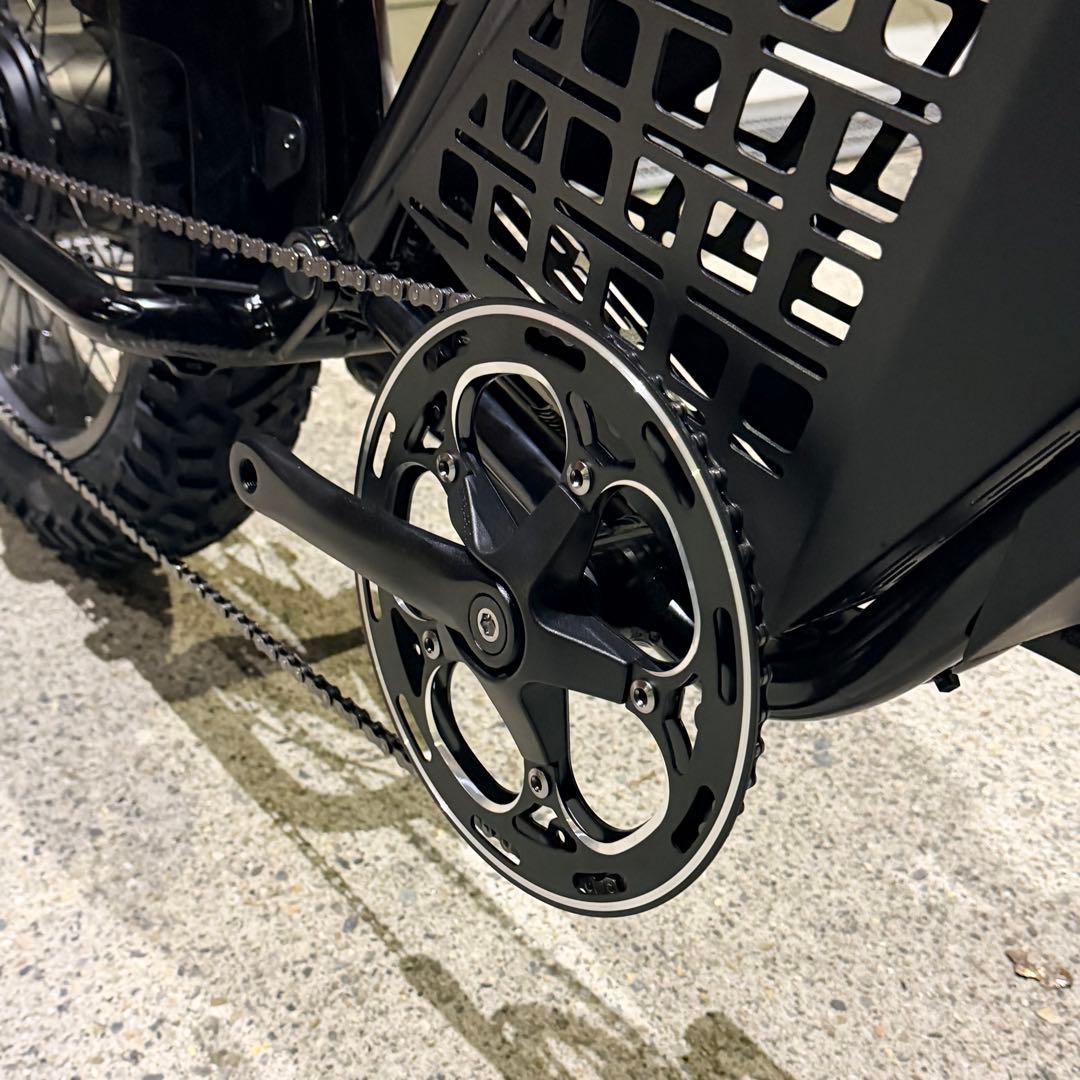 【カワウソ 】SUPER73 RX系統 LG48v20ah DNM