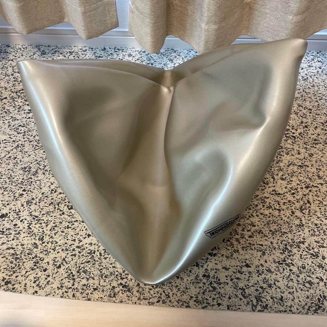 テクノジム Technogym バランスボールチェア（55cm） フィットネス