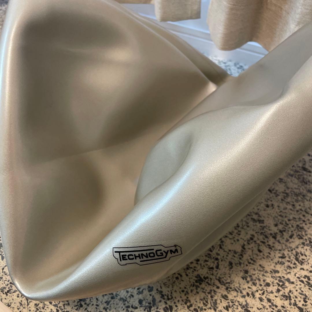 テクノジム Technogym バランスボールチェア（55cm） フィットネス