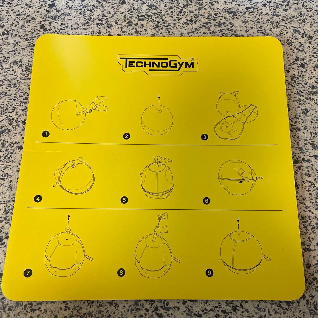 テクノジム Technogym バランスボールチェア（55cm） フィットネス