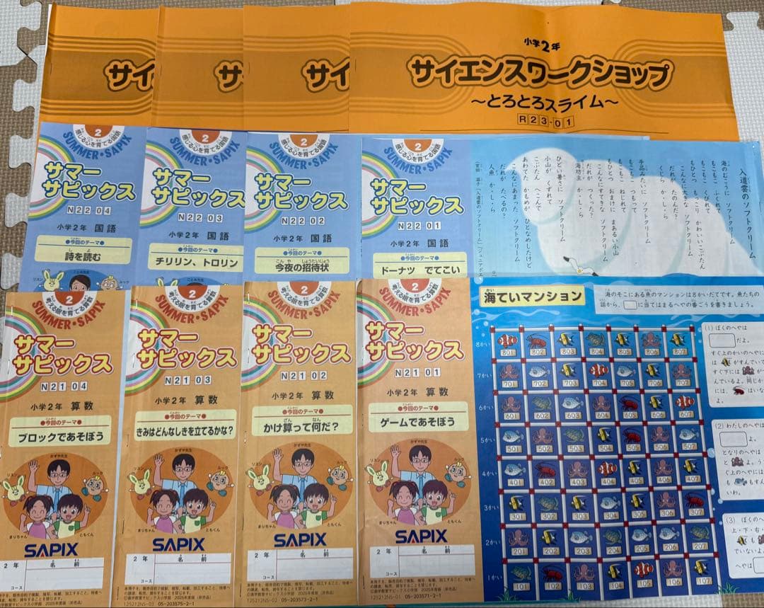 デイリーサピックス算数　２年生　2025年全17冊