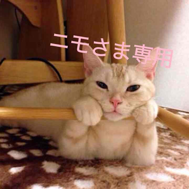 ゴールデンボンバー DVD