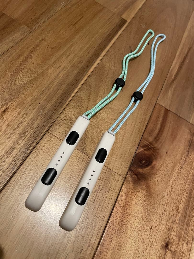 Nintendo Switch/あつまれどうぶつの森カラー