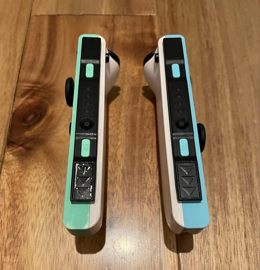 Nintendo Switch/あつまれどうぶつの森カラー