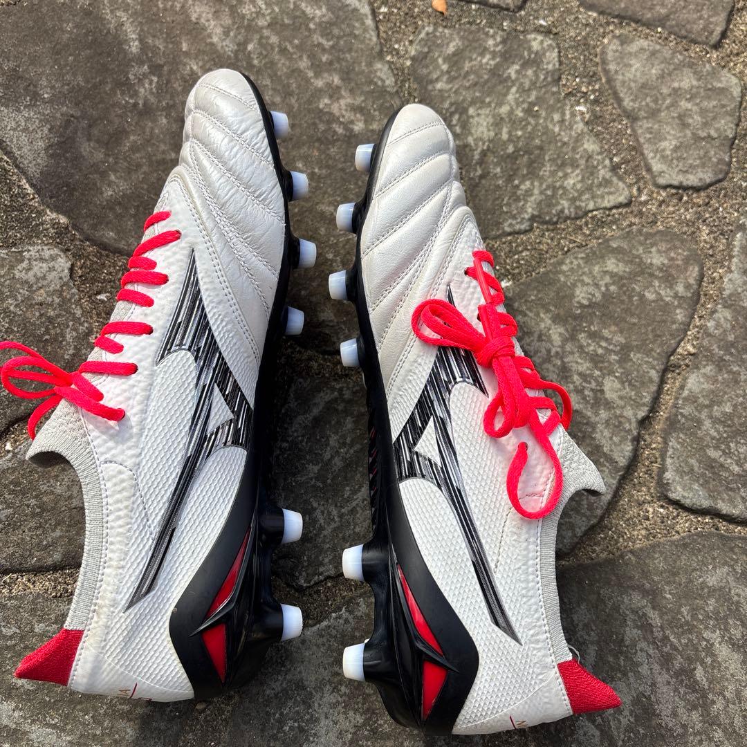 モレリアネオ4β定番カラー白