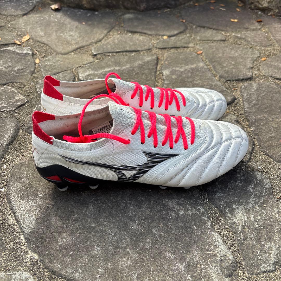 モレリアネオ4β定番カラー白