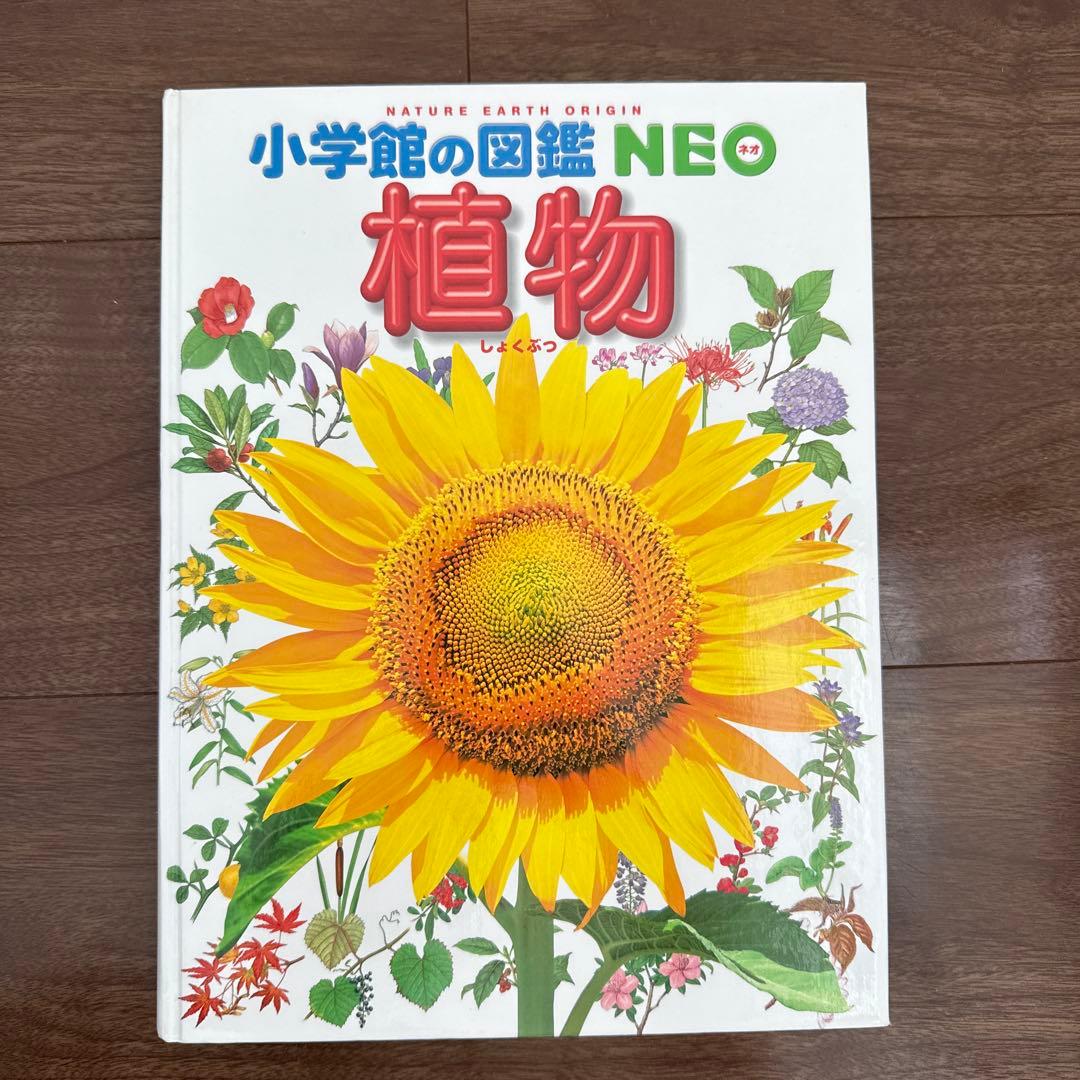小学館の図鑑NEO (一部DVD付き)15巻セット
