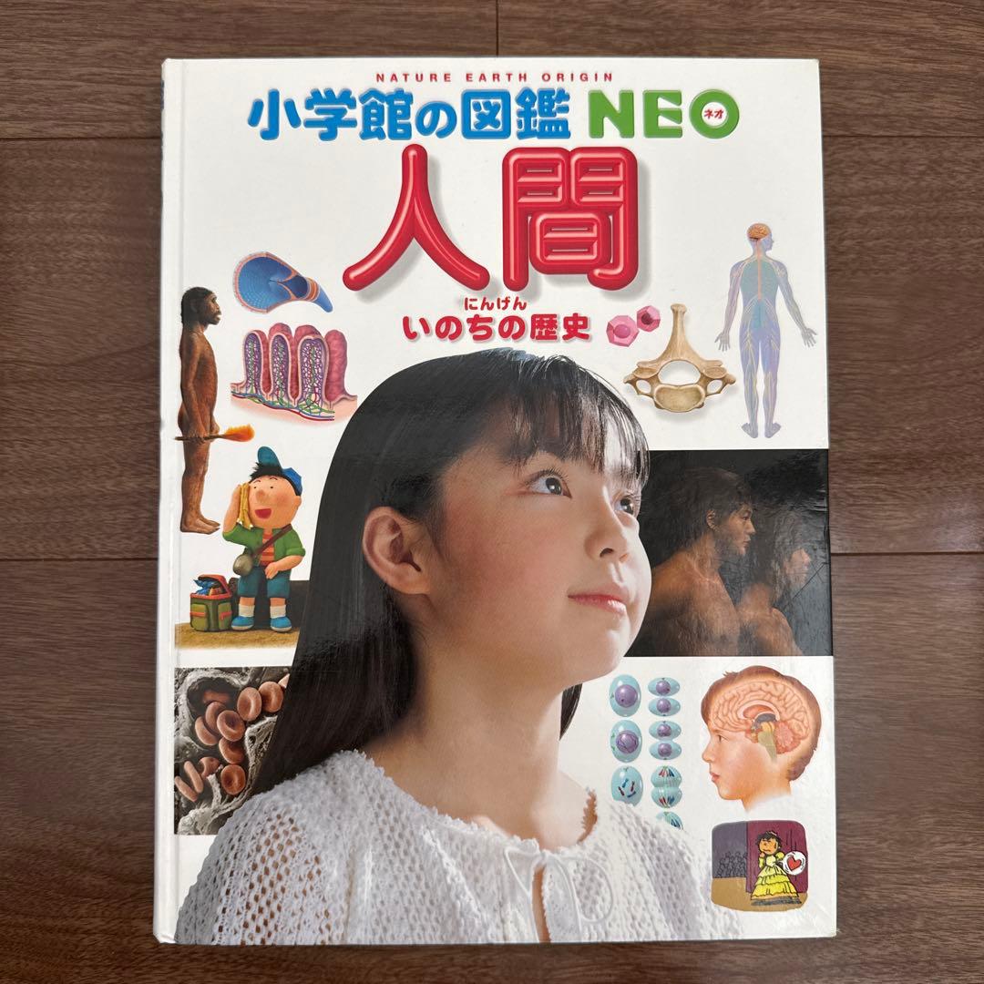 小学館の図鑑NEO (一部DVD付き)15巻セット
