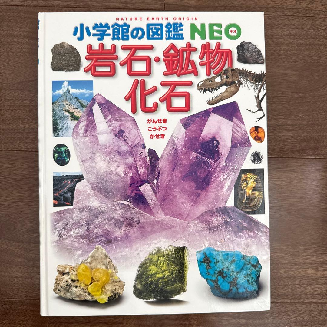 小学館の図鑑NEO (一部DVD付き)15巻セット