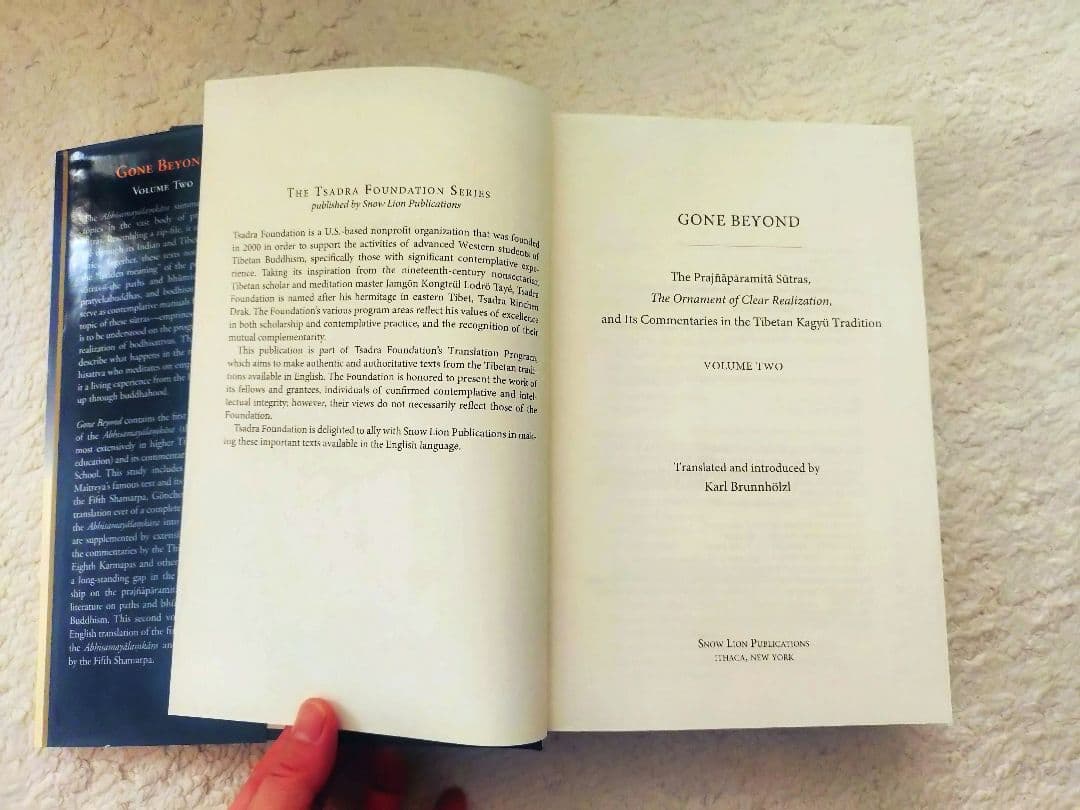 チベット仏教 Gone Beyond Vol.2 Tibetan Kagyu洋書