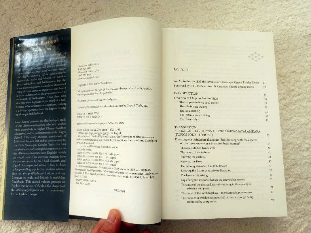 チベット仏教 Gone Beyond Vol.2 Tibetan Kagyu洋書