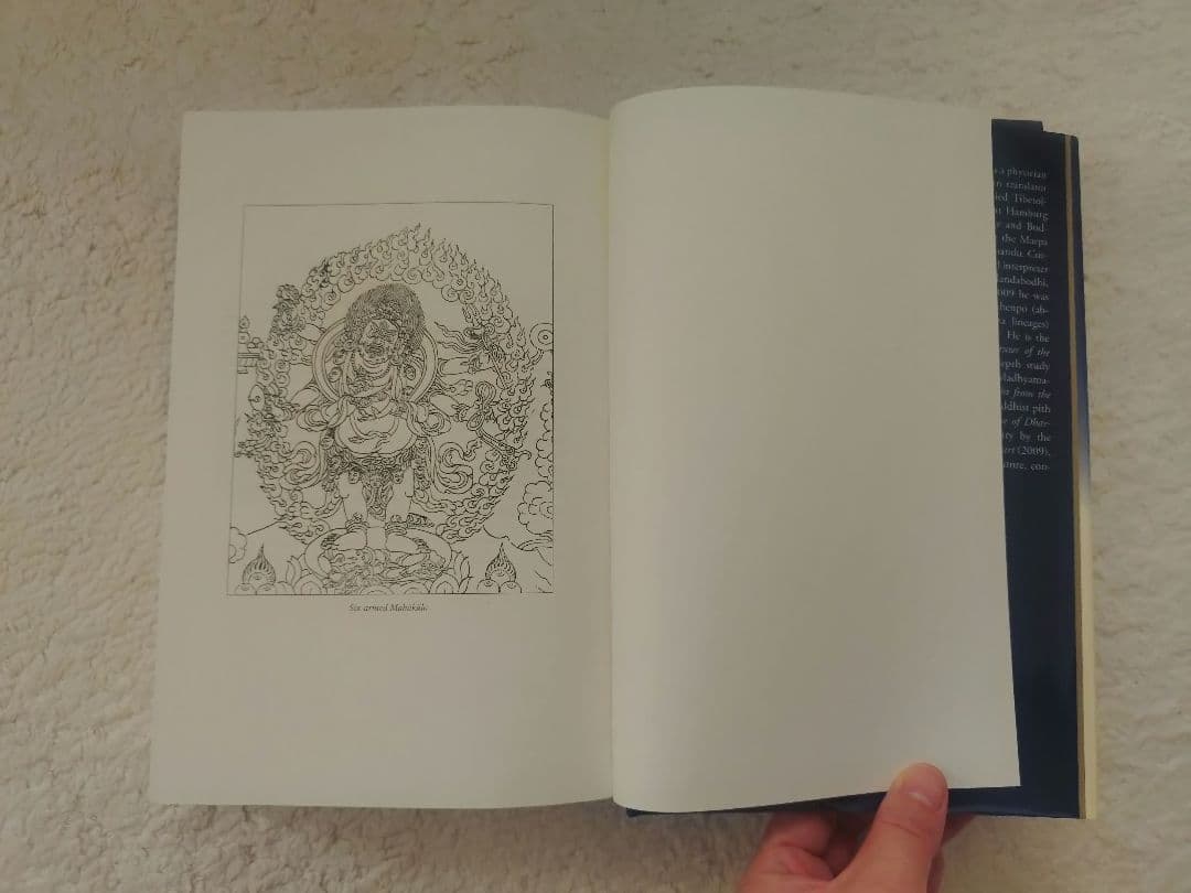 チベット仏教 Gone Beyond Vol.2 Tibetan Kagyu洋書