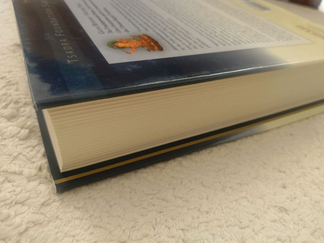 チベット仏教 Gone Beyond Vol.2 Tibetan Kagyu洋書