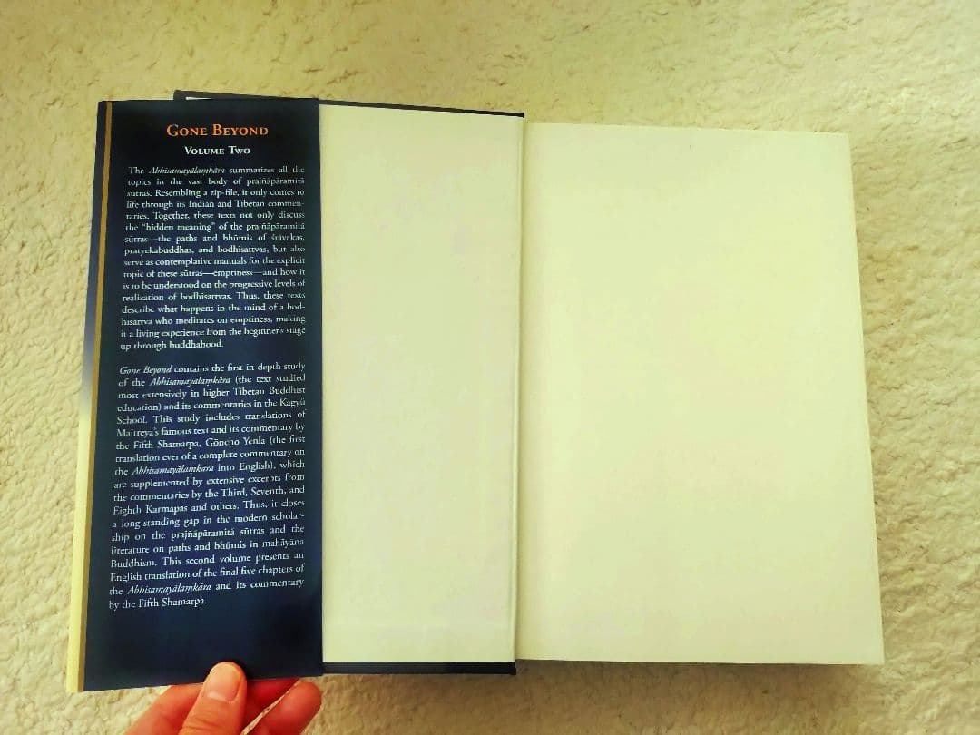 チベット仏教 Gone Beyond Vol.2 Tibetan Kagyu洋書