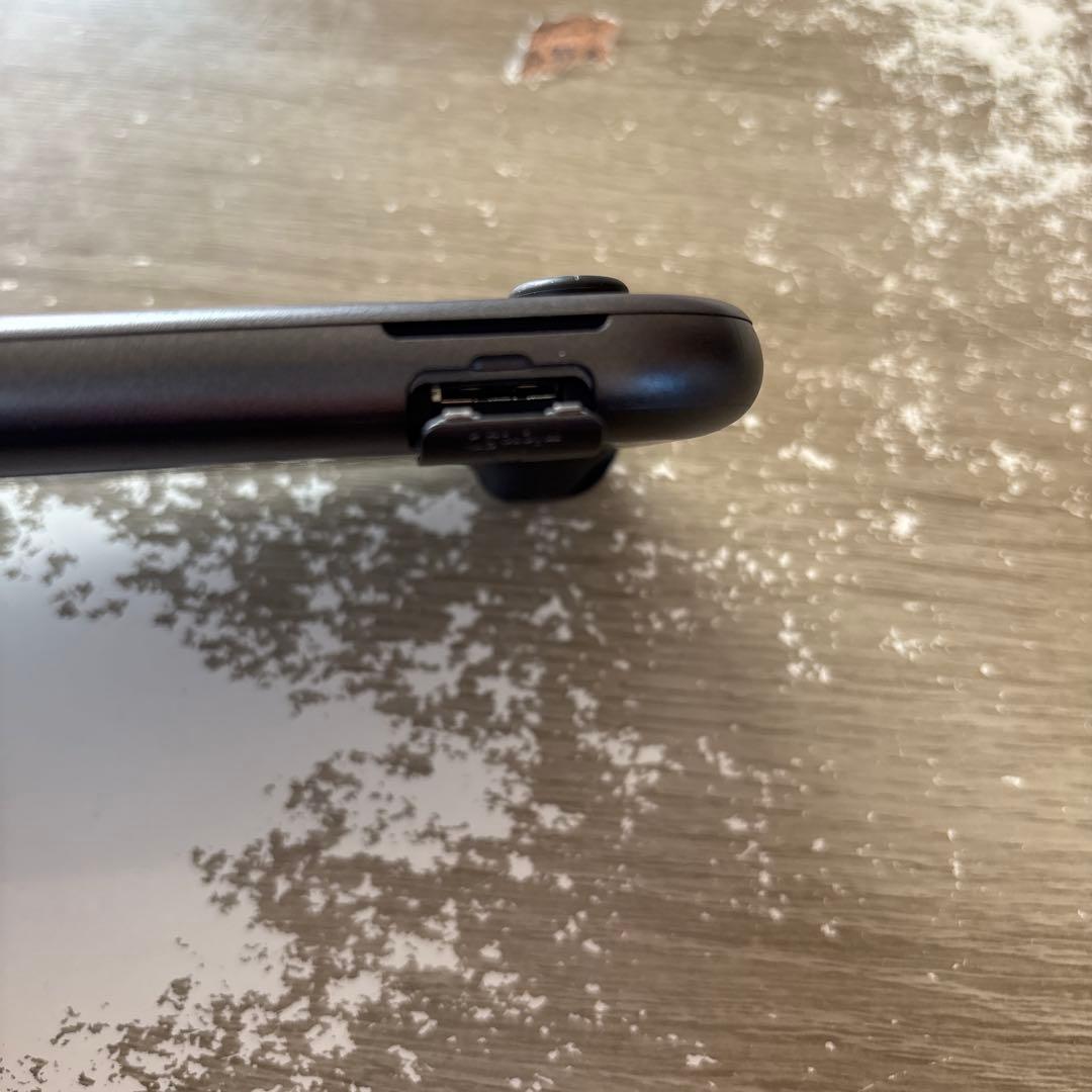 Nintendo Switch Lite ディアルガ&パルキア