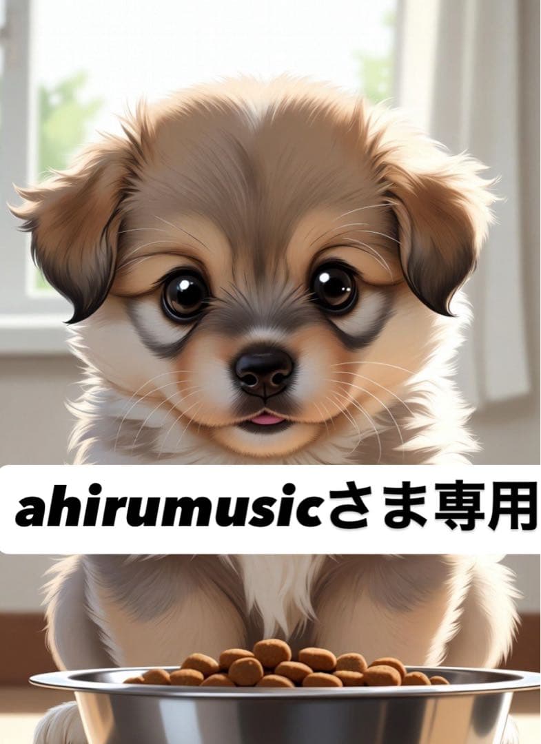 ahirumusicさま専用