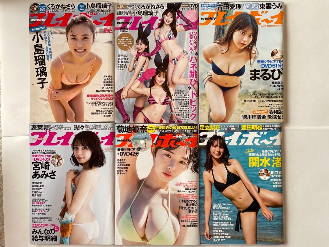 プレーボーイ　週間プレイボーイ DVD 未開封　38冊セット　まとめ売り