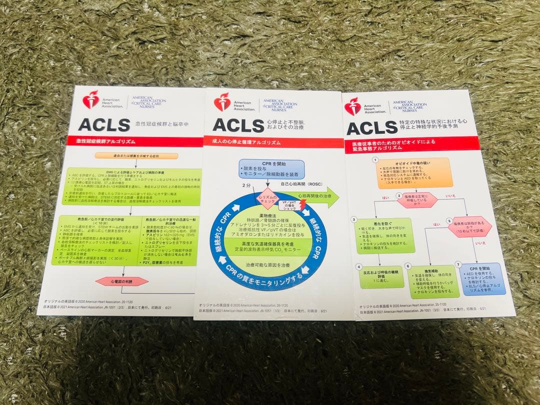ACLS二次救命処置AHAガイドライン2020準拠 プロバイダーマニュアル
