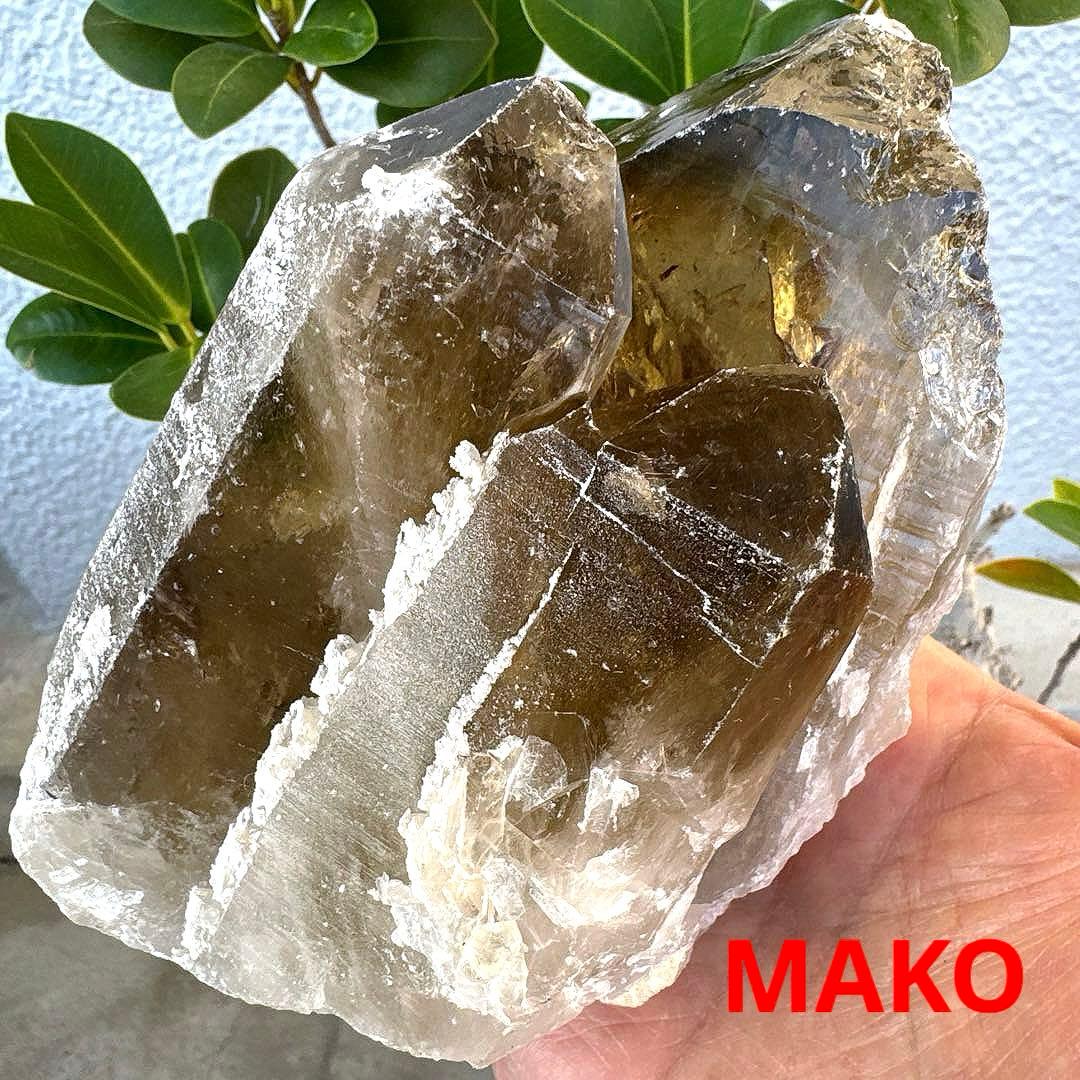 M1866☆シトリンクラスター749g☆ブラジル産☆天然石☆N50901-C