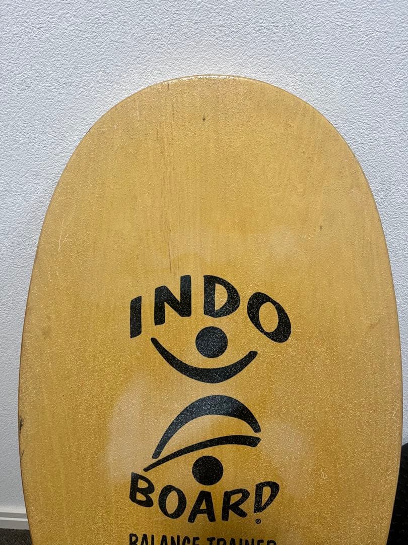 INDO BOARD バランスボード ボール インドボード サーフィン　スケボ