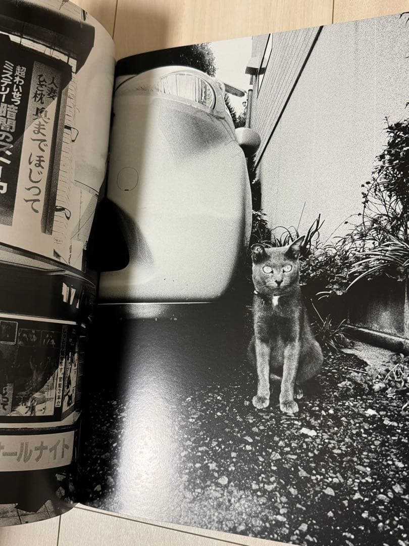 【新品！直筆サイン署名！初版】森山大道　記録11号 中平卓馬　細江英公