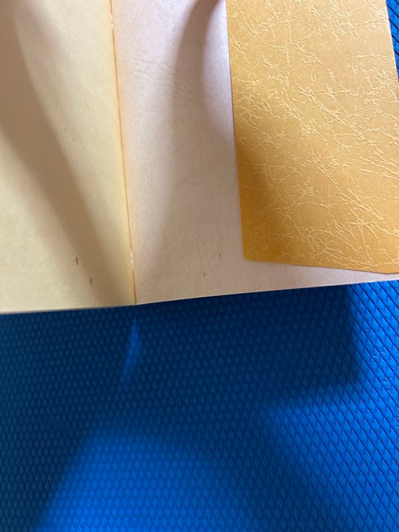 終末の世の様相と明日への宣言　悪の目覚めと童話と経綸　　　橘香道　玉置天河神社