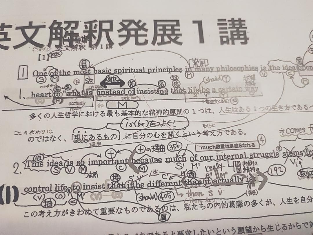 河合塾の24年登木先生のテーマ英文解釈発展夏期セット問題解説　駿台　鉄緑会　英語