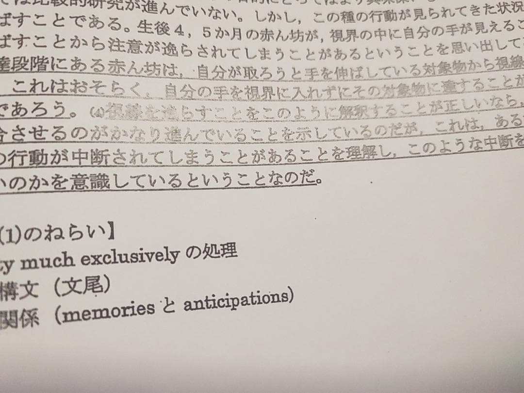 河合塾の24年登木先生のテーマ英文解釈発展夏期セット問題解説　駿台　鉄緑会　英語