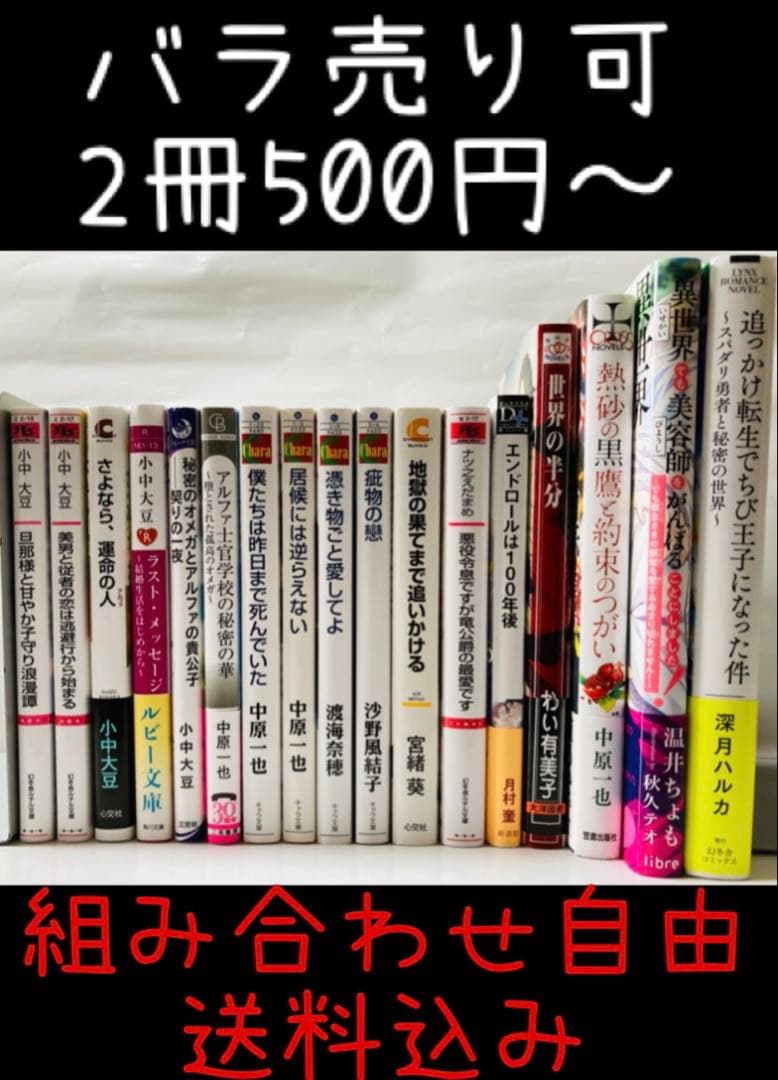 【バラ売り可】BL小説●バラ売り1冊から●送料込み●一部帯付き●まとめ