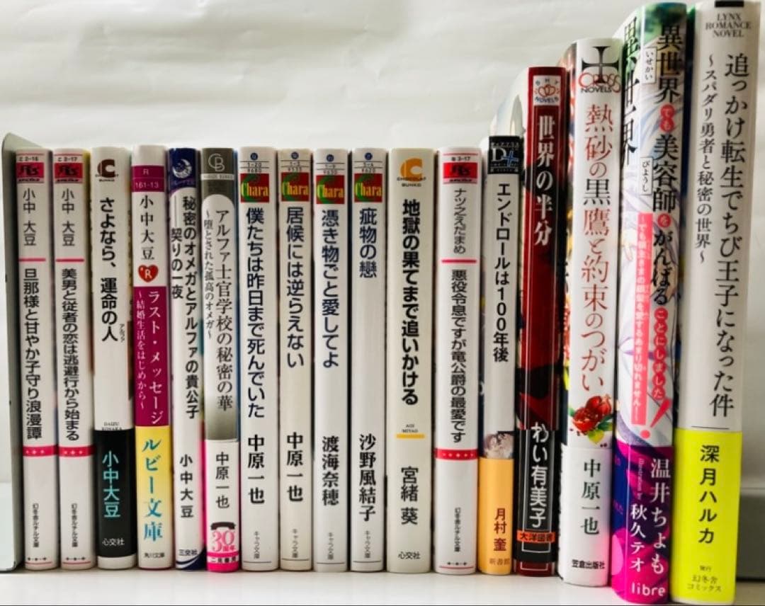 【バラ売り可】BL小説●バラ売り1冊から●送料込み●一部帯付き●まとめ