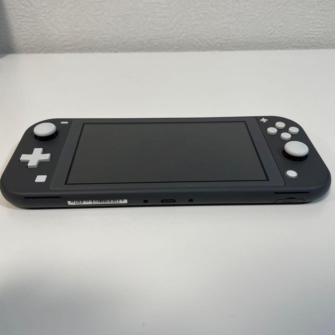 Nintendo Switch Lite グレー 本体 ケース付き