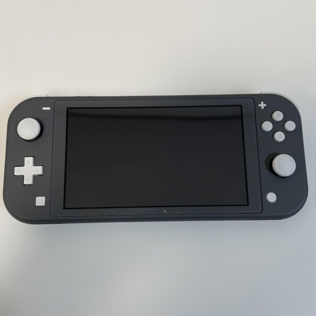 Nintendo Switch Lite グレー 本体 ケース付き