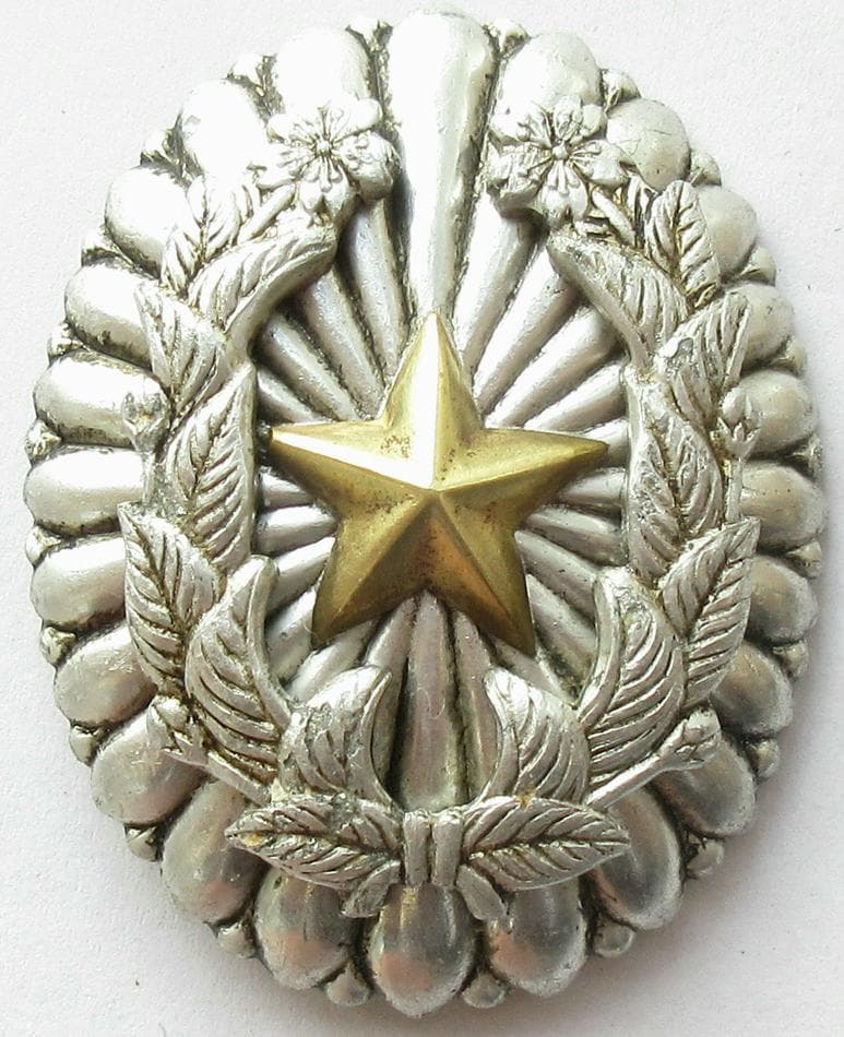 日本軍 陸軍尉官隊長章 勲章