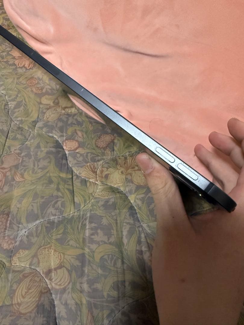 Apple iPad Pro 11インチ 256GB M4