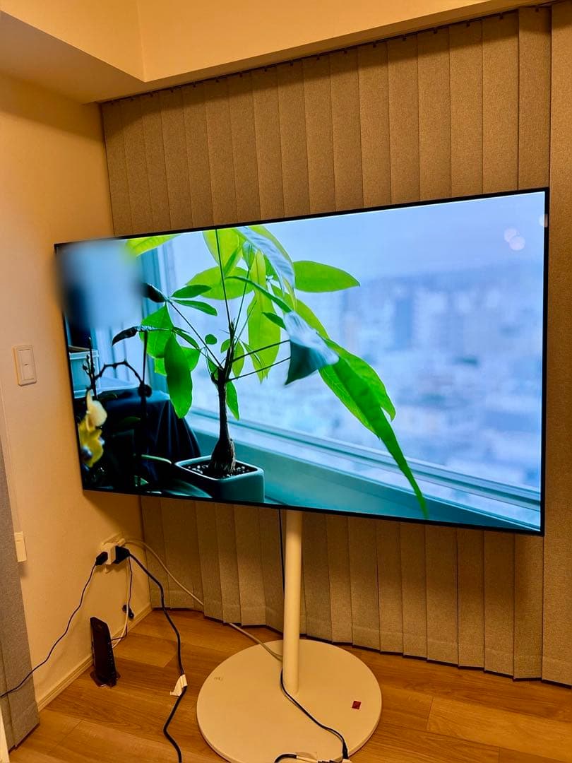 LG65型スマートTV OLED65C9PJA 有機EL