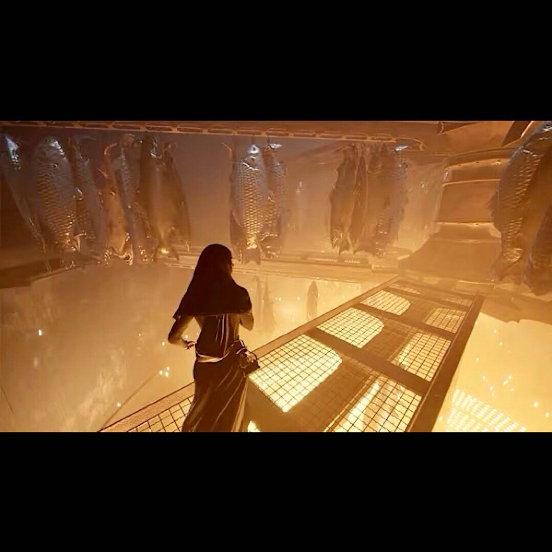 INDIKA インディカ 輸入版 switch ニンテンドースイッチ