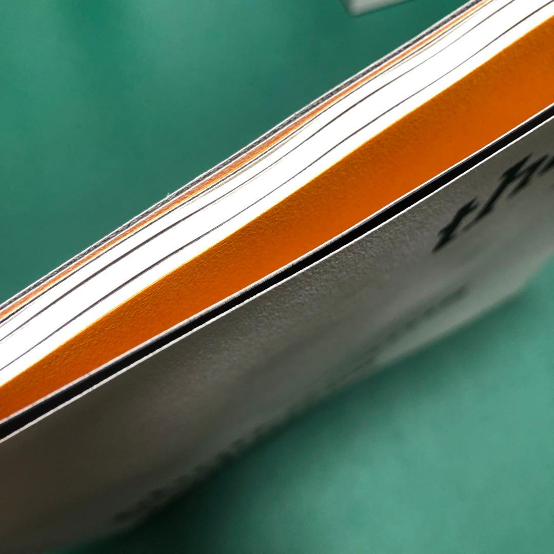 アート・デザイン・音楽 Thomas Ruff: Photograms and Negatives