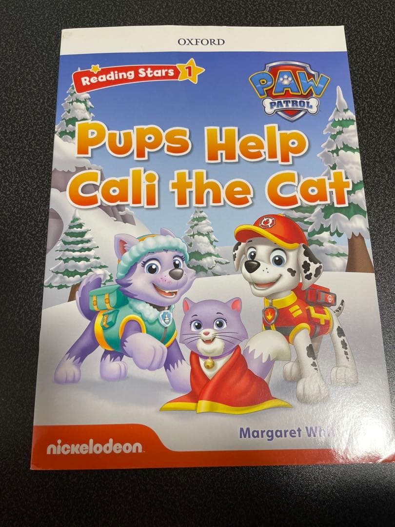 Reading stars paw patrol20冊セット