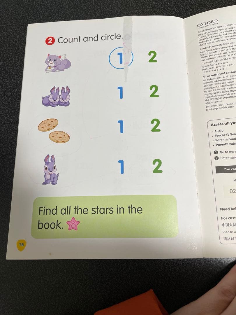 Reading stars paw patrol20冊セット