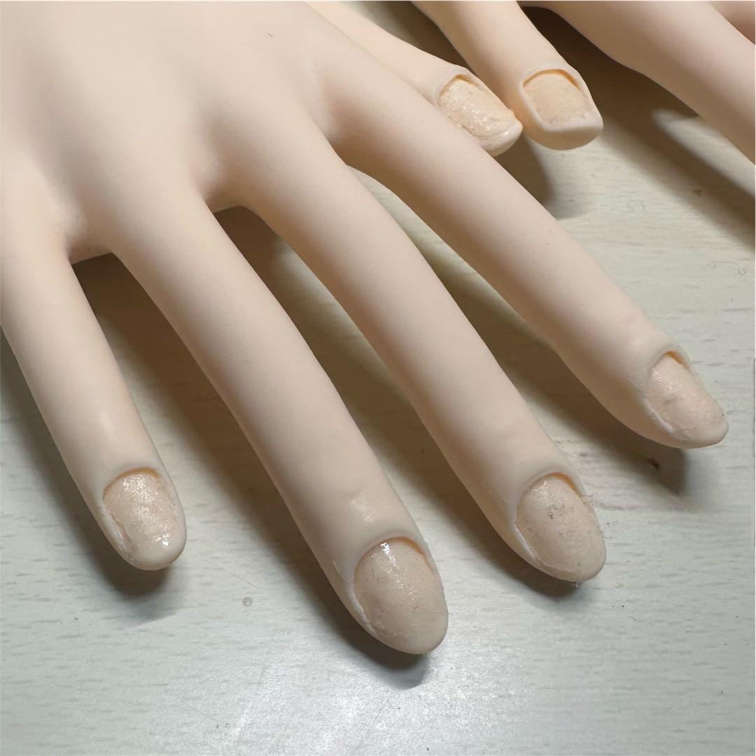 JNEC認定　モデルハンド　検定セット