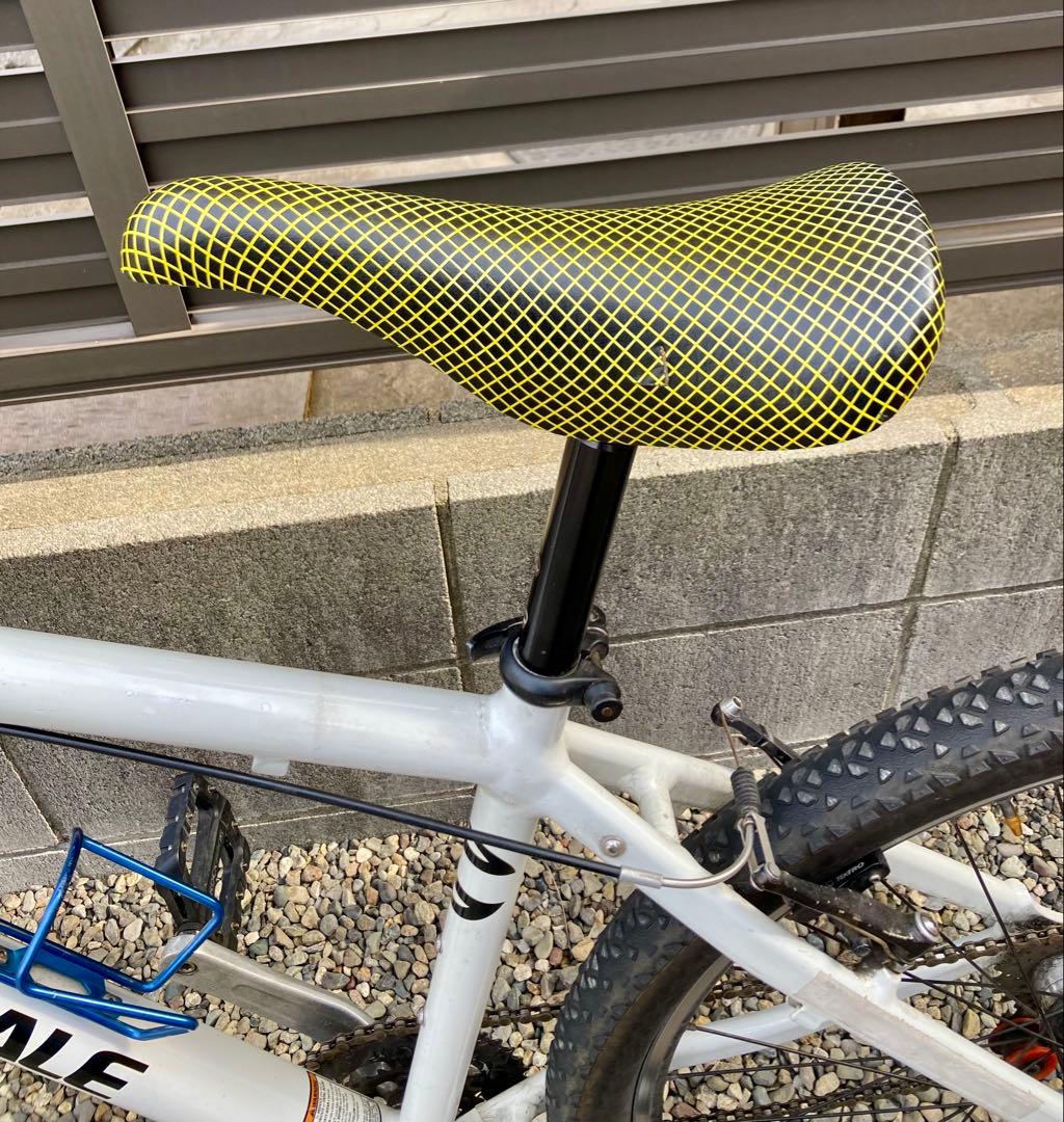 レアUSA製　キャノンデール　F300 Mサイズ　bluelug ブルーラグ