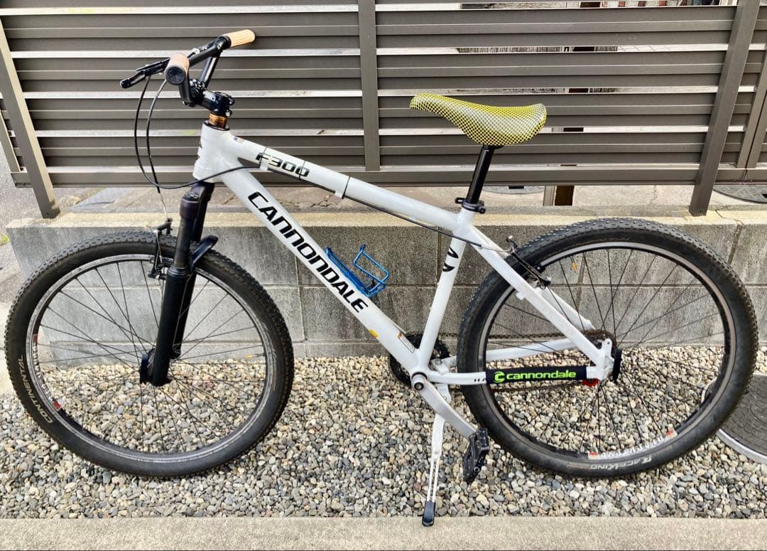 レアUSA製　キャノンデール　F300 Mサイズ　bluelug ブルーラグ