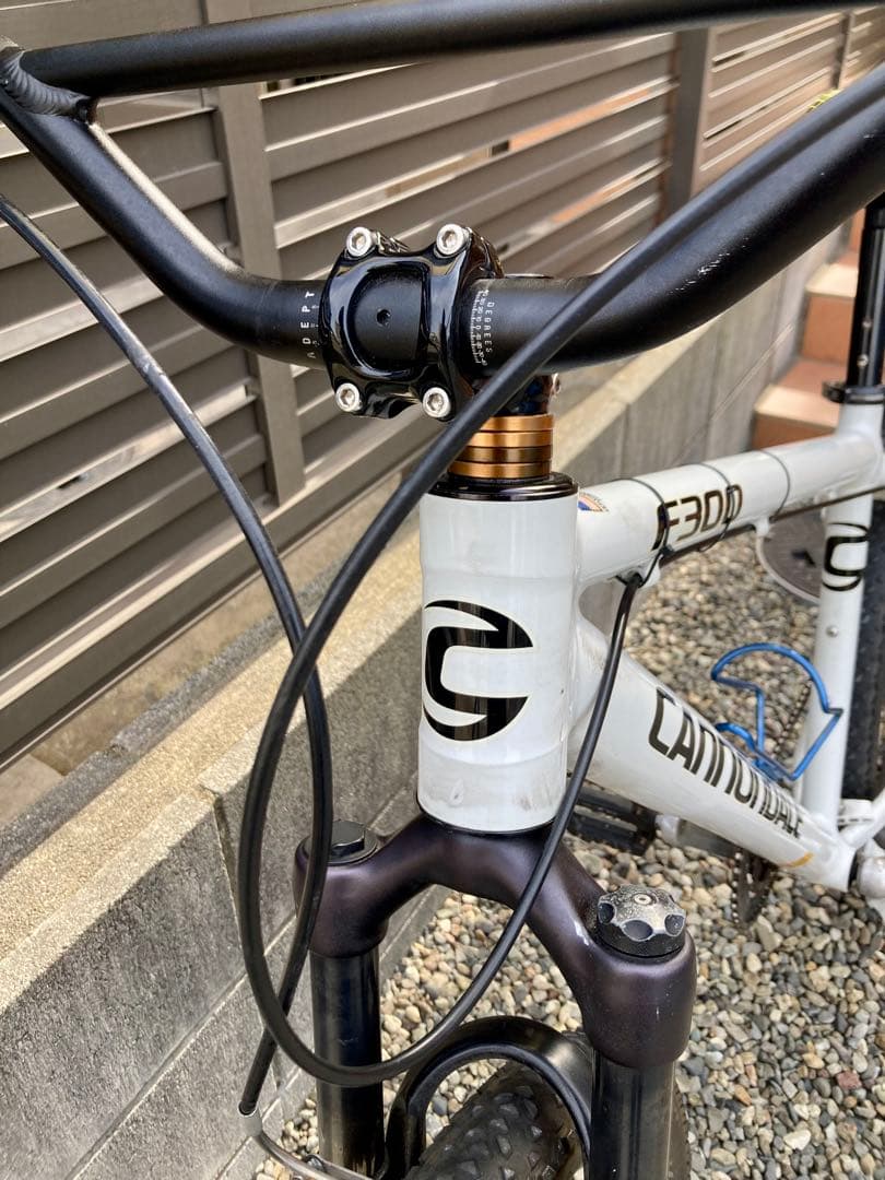 レアUSA製　キャノンデール　F300 Mサイズ　bluelug ブルーラグ